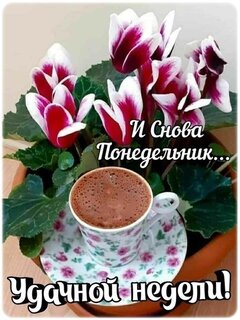 i-snova-ponedelnik.jpg?z=102