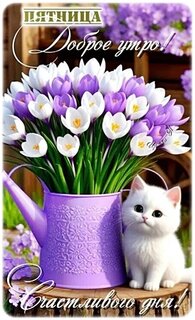 dobroe-utro.jpg?z=113