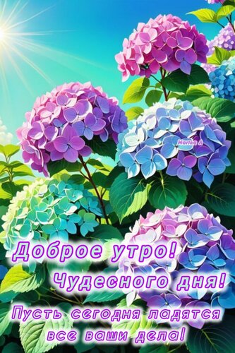 Открытка Доброе утро! Чудесного дня! Пусть сегодня ладятся все ваши дела!