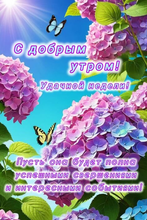 Открытка С добрым утром! Удачной недели! Пусть она будет полна успешными свершениями и интересными событиями!