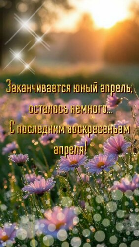 Открытка Заканчивается юный апрель, осталось немного... С последним воскресеньем апреля!