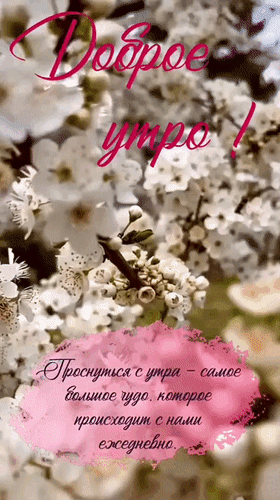 Анимированная открытка Доброе утро! Проснуться с утра - самое большое чудо, которое происходит с нами ежедневно.