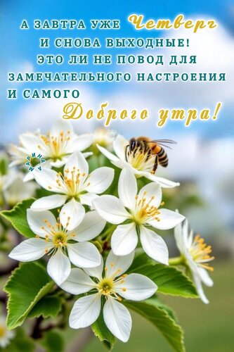 Открытка А Завтра УЖЕ Четверг И Снова Выходные! ЭТО ЛИ НЕ Повод ДЛЯ Замечательного Настроения И Самого Добро