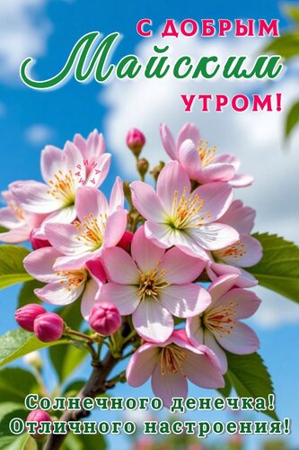 Открытка С добрым майским утром! Солнечного денечка! Отличного настроения!