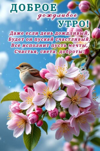Открытка Доброе Дождливое УТРО! ДАЖЕ ЕСЛИ ДЕНЬ Дождливый, Будет ОН Пускай Счастливый, ВСЕ Исполнит Пусть МЕЧТ