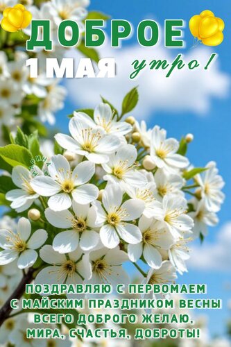 Открытка Доброе УТРО! 1 МАЯ. Поздравляю С Первомаем С Майским Праздником Весны Всего Доброго Желаю, МИРА, СЧА