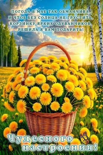 Открытка Чудесного Настроения! Погодав МАЕ ТАК Обманчива, И ЧТОБ БЕЗ Солнца НЕ Грустить, Корзинку Ярких Одува