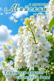 s-dobrym-majskim-utrom-xoroshego-yarkogo-svetlogo-dnya.jpg?z=122