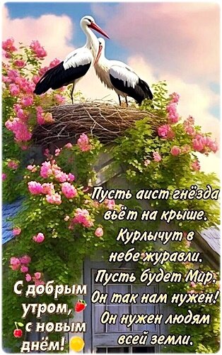Открытка Доброе утро!