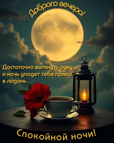 Открытка Достаточно вытянуть руку... и ночь упадет тебе прямо в ладонь...
