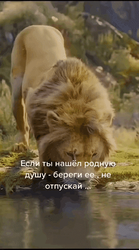 Анимированная открытка Если ты нашёл родную душу - береги ее, не отпускай...