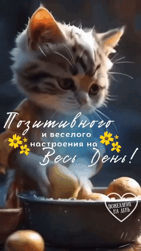 Анимированная открытка Позитивного и веселого настроения на весь день!