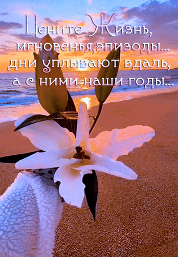 Анимированная открытка Цените жизнь, мгновенья, эпизоды... дни уплывают вдаль, а с ними наши годы...