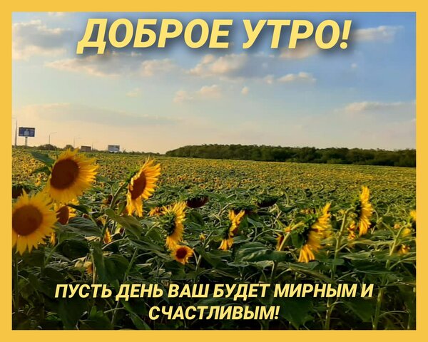 Открытка Доброе утро! Пусть день ваш будет мирным и счастливым!