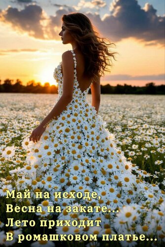Открытка Май на исходе, весна на закате… Лето приходит в ромашковом платье…