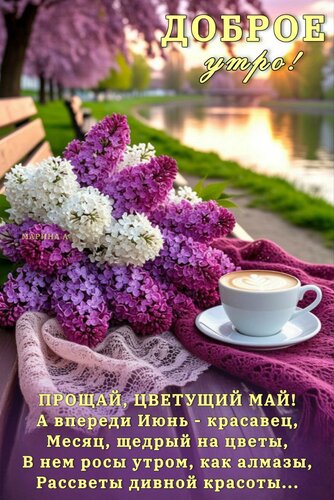 Открытка Доброе УТРО! Прощай, Цветущий МАЙ! А Впереди ИЮНЬ - Красавец, Месяц, Щедрый НА Цветы, В НЕМ РОСЫ УТР
