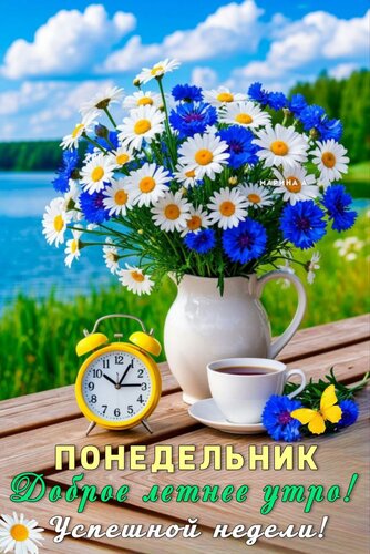 Открытка Понедельник. Доброе летнее утро! Успешной недели!
