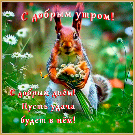 Анимированная открытка С добрым утром! С добрым днём! Пусть удача будет в нём!