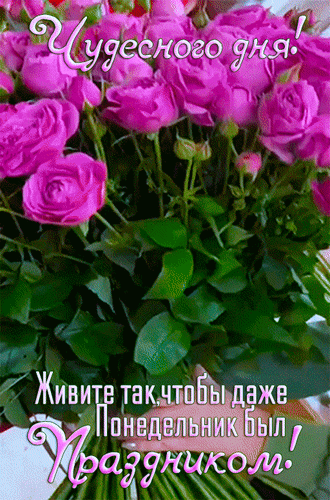 Анимированная открытка Живите так, чтобы даже Понедельник был праздником!
