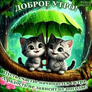 dobroe-utro.jpg?z=232