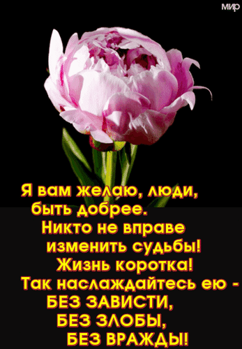 Анимированная открытка Я вам желаю, люди, быть добрее. Никто не вправе изменить судьбы! Жизнь коротка! Так наслаждайтесь ею...