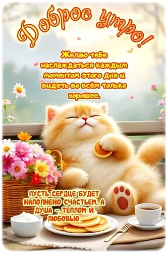 Открытка Доброе утро!