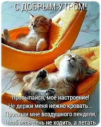 Открытка Доброе утро!