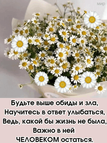 Анимированная открытка Будьте выше обиды и зла. Научитесь в ответ улыбаться. Ведь, какой бы жизнь не была, важно в ней