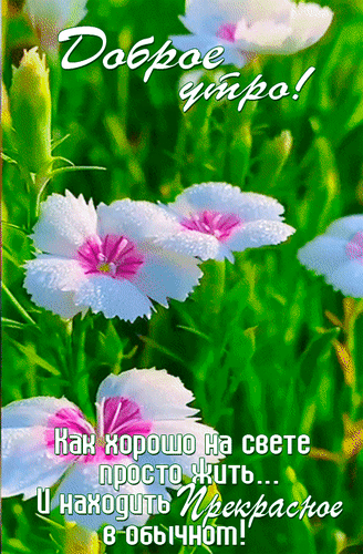 Анимированная открытка Доброе утро! Как хорошо на свете просто жить... И находить прекрасное в обычном!