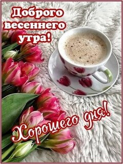 dobrogo-vesennego-utra.jpg?z=70