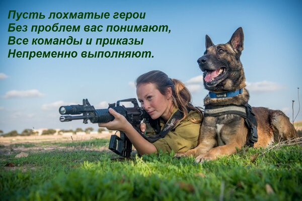 Открытка Пусть лохматые герои без проблем вас понимают. Все команды и приказы непременно выполняют.