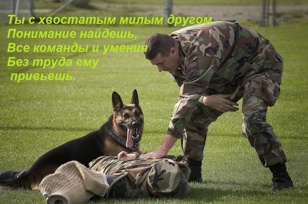 Открытка Ты с хвостатым милым другом понимание найдешь. Все команды и умения без труда ему привьешь.
