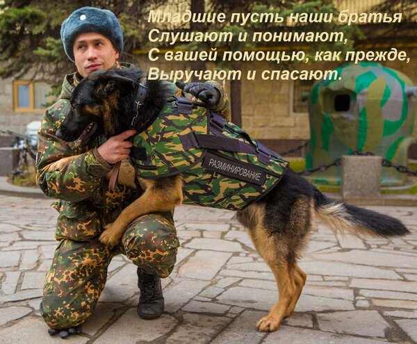 Открытка Младшие пусть наши братья слушают и понимают, с вашей помощью, как прежде, выручают и спасают.