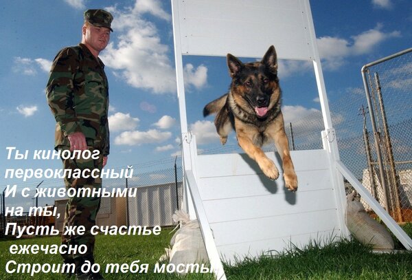 Открытка Ты кинолог первоклассный и с животными на ты. Пусть же счастье ежечасно строит до тебя мосты!