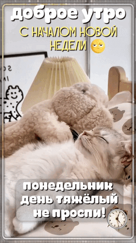 Анимированная открытка Доброе утро! С началом новой недели. Понедельник день тяжелый. Не проспи!
