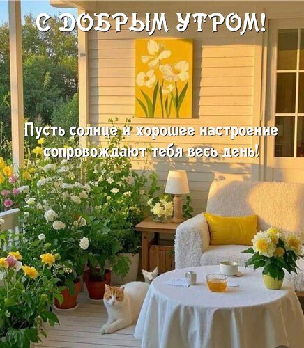 Открытка Пусть солнце и хорошее настроение сопровождают тебя весь день!