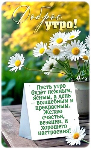 Открытка Доброе утро!