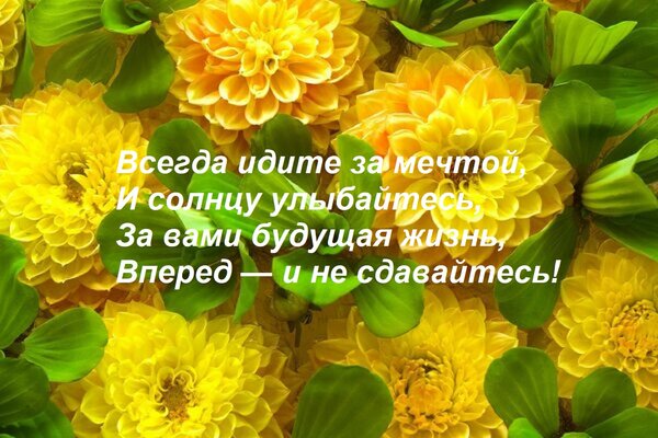 Открытка Всегда идите за мечтой, и солнцу улыбайтесь. За вами будущая жизнь, вперед — и не сдавайтесь!