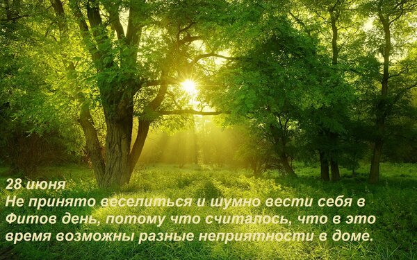 Открытка 28 июня. Не принято веселиться и шумно вести себя в Фитов день...