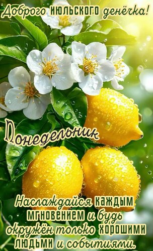 Открытка Понедельник