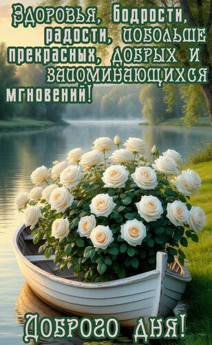 Открытка Добрый день