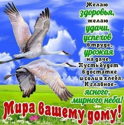 Открытка Мира вашему дому