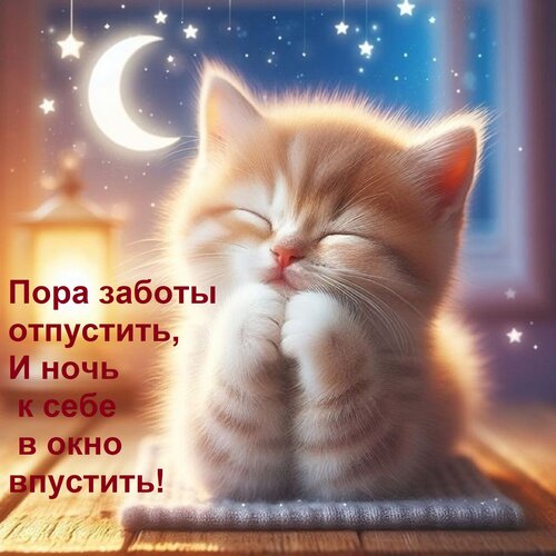 Открытка Пора заботы отпустить, и ночь к себе в окно впустить!