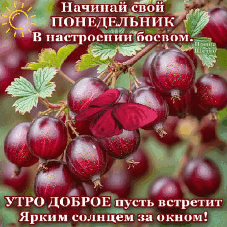 Анимированная открытка Доброе утро!
