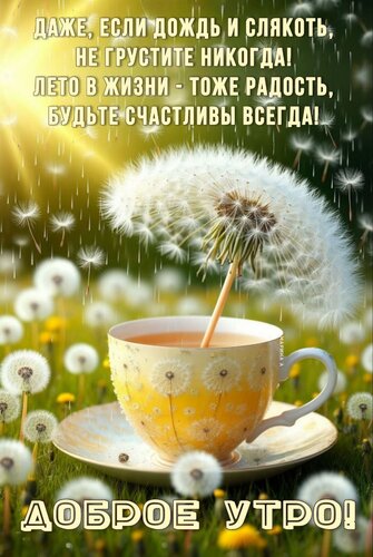 Открытка Доброе утро! Даже, если дождь и слякоть, не грустите никогда! Лето в жизни - тоже радость, будьте счастливы всегда!