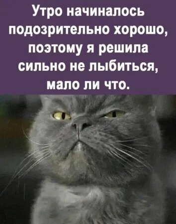 Открытка Утро начиналось подозрительно хорошо