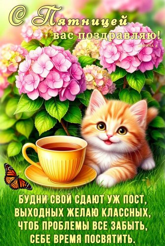 Открытка С Пятницей ВАС Поздравляю! Будни СВОЙ Сдают УЖ ПОСТ, Выходных Желаю Классных, ЧТОБ Проблемы ВСЕ ЗАБЫ