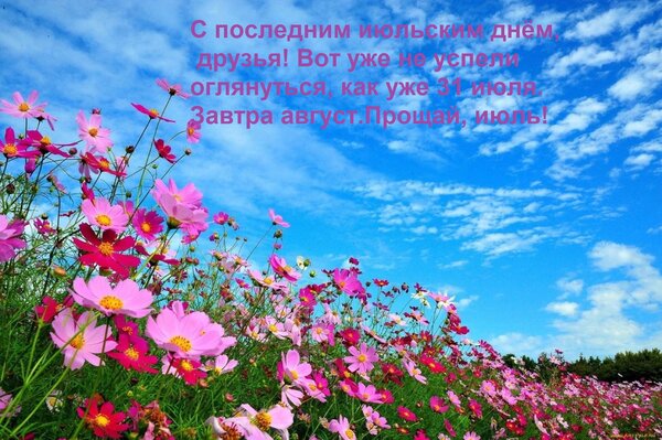 Открытка С последним июльским днём, друзья! Вот уже не успели оглянуться, как уже 31 июля. Завтра августПроща