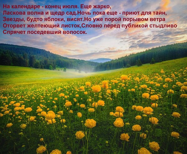 Открытка На календаре - конец июля. Еще жарко, Ласкова волна и щедр сад. Ночь пока еще - приют для тайн, Звез