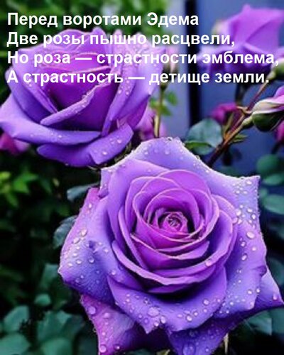 Открытка Перед воротами Эдема Две розы пышно расцвели, Но роза — страстности эмблема, А страстность — детище